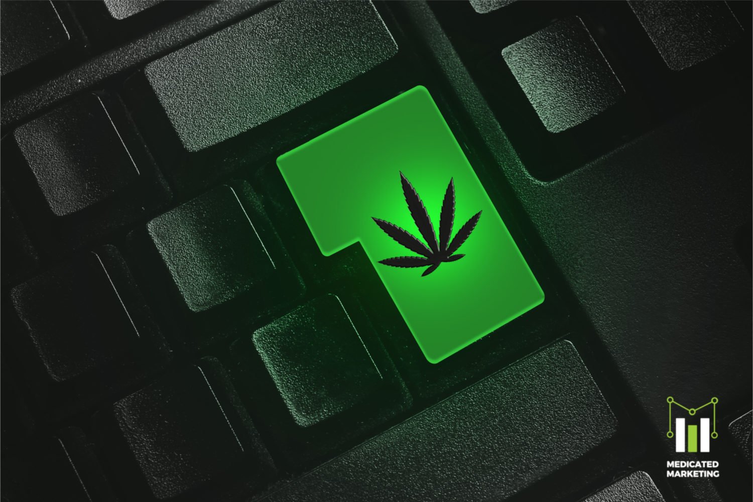 Your Complete Guide To Effective Marijuana SEO In 2020