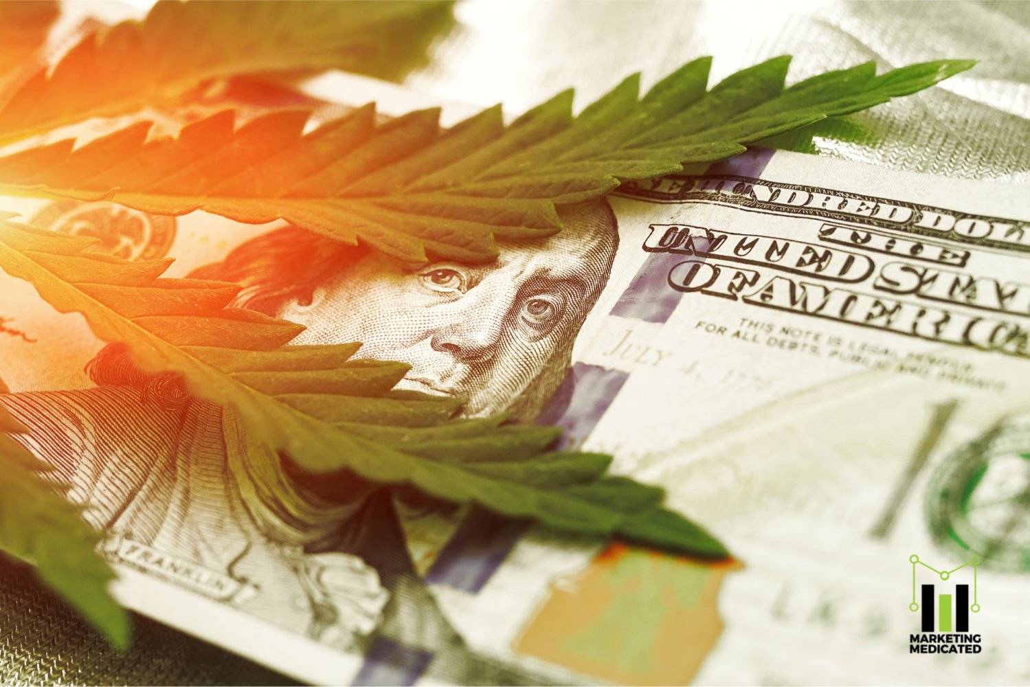 The 10 Best Cannabis Friendly Payment Processors in the US for 2020